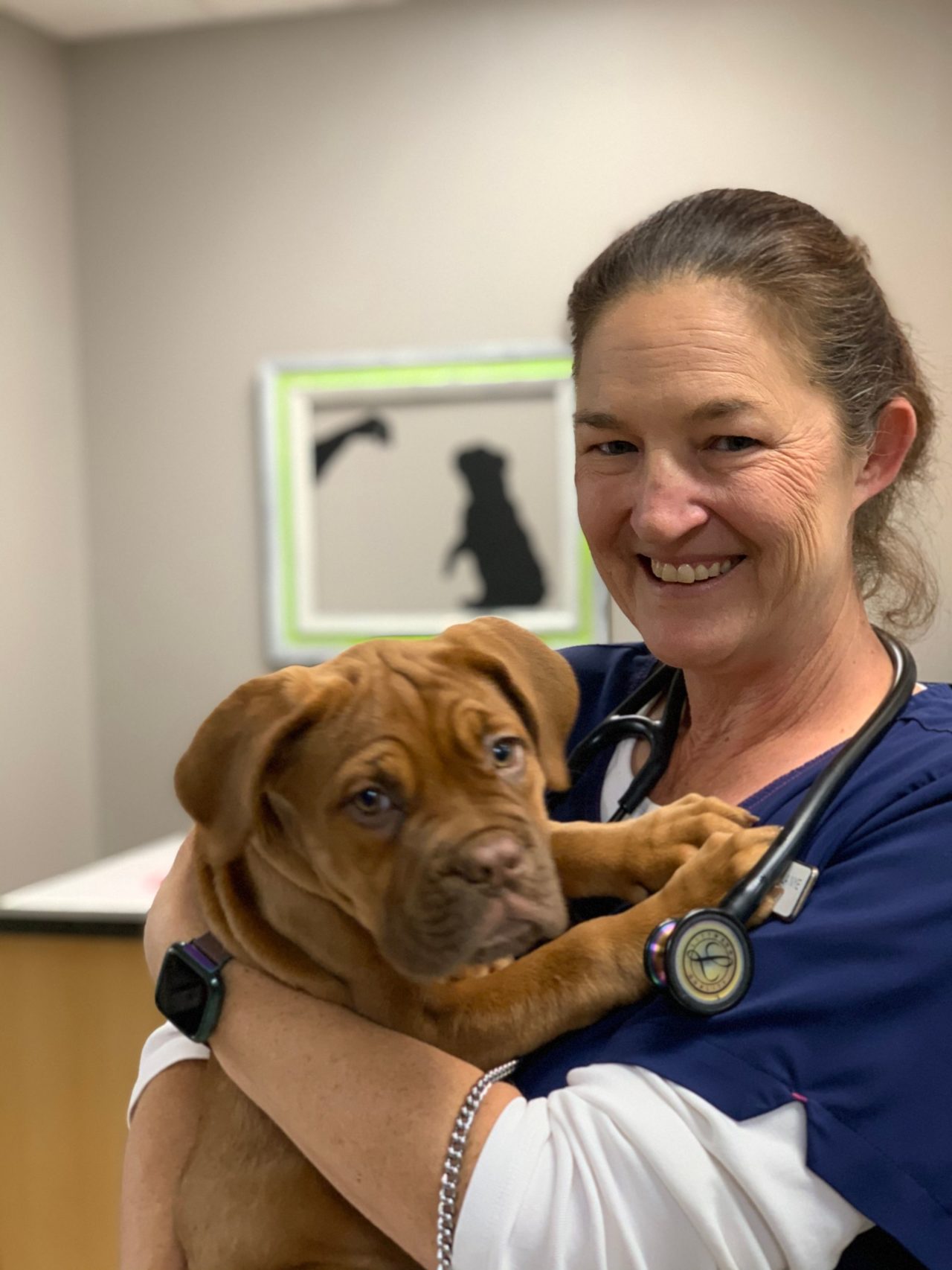 Broken Arrow, OK Veterinarian Premier Animal Wellness & Surgery