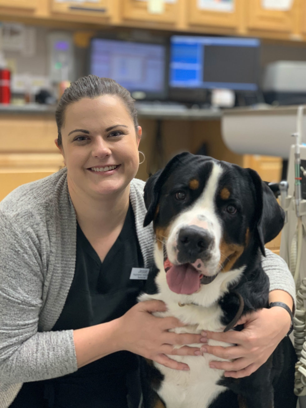 Broken Arrow, OK Veterinarian | PAWS Southpark Animal Hospital