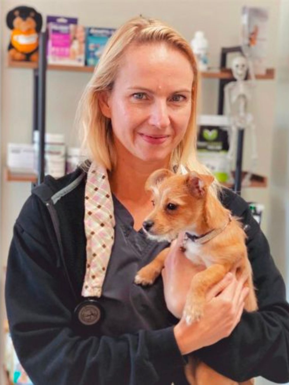 Broken Arrow, OK Veterinarian Premier Animal Wellness & Surgery